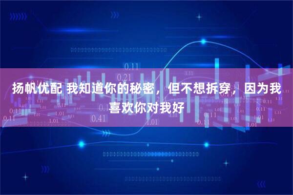 扬帆优配 我知道你的秘密，但不想拆穿，因为我喜欢你对我好