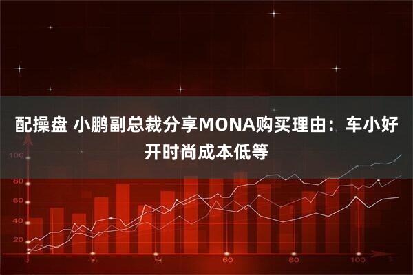 配操盘 小鹏副总裁分享MONA购买理由：车小好开时尚成本低等