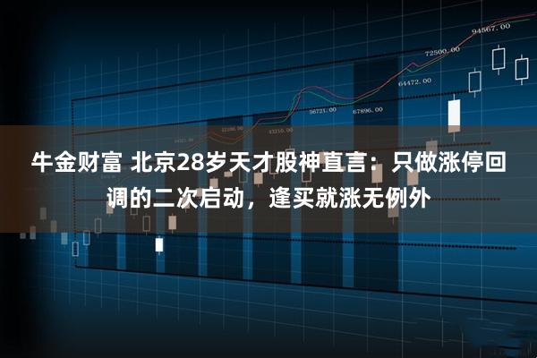 牛金财富 北京28岁天才股神直言：只做涨停回调的二次启动，逢买就涨无例外