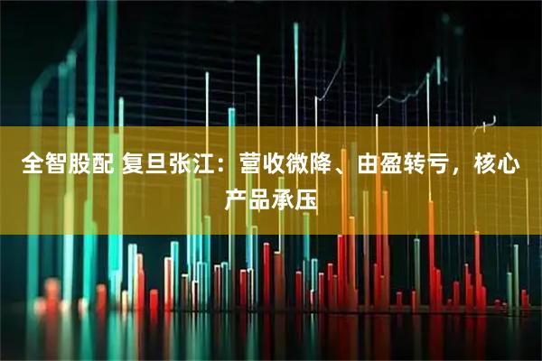 全智股配 复旦张江：营收微降、由盈转亏，核心产品承压