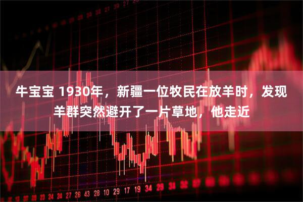 牛宝宝 1930年，新疆一位牧民在放羊时，发现羊群突然避开了一片草地，他走近