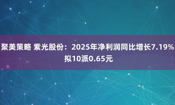 聚美策略 紫光股份：2025年净利润同比增长7.19% 拟10派0.65元