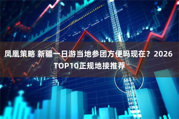 凤凰策略 新疆一日游当地参团方便吗现在？2026 TOP10正规地接推荐