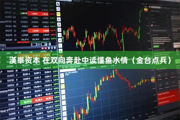 漢崋资本 在双向奔赴中读懂鱼水情（金台点兵）