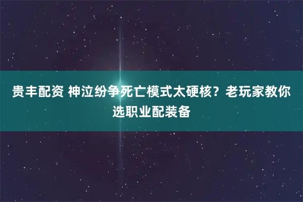 贵丰配资 神泣纷争死亡模式太硬核？老玩家教你选职业配装备