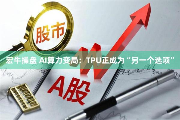 宏牛操盘 AI算力变局：TPU正成为“另一个选项”