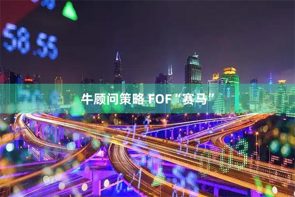 牛顾问策略 FOF“赛马”