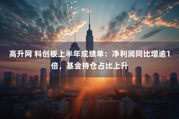 高升网 科创板上半年成绩单：净利润同比增逾1倍，基金持仓占比上升