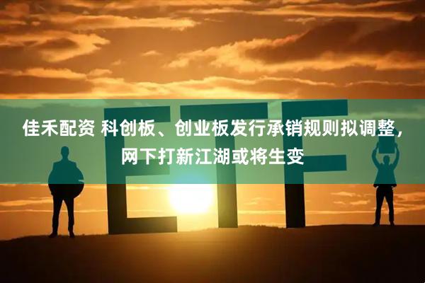 佳禾配资 科创板、创业板发行承销规则拟调整，网下打新江湖或将生变