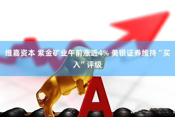 维嘉资本 紫金矿业午前涨近4% 美银证券维持“买入”评级