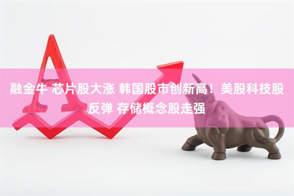 融金牛 芯片股大涨 韩国股市创新高！美股科技股反弹 存储概念股走强
