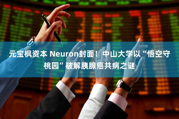 元宝枫资本 Neuron封面！中山大学以“悟空守桃园”破解胰腺癌共病之谜