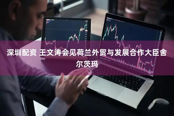 深圳配资 王文涛会见荷兰外贸与发展合作大臣舍尔茨玛