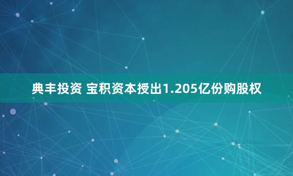 典丰投资 宝积资本授出1.205亿份购股权