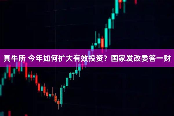 真牛所 今年如何扩大有效投资？国家发改委答一财