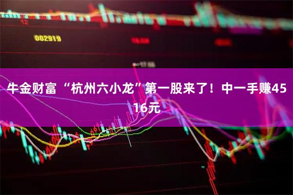 牛金财富 “杭州六小龙”第一股来了！中一手赚4516元