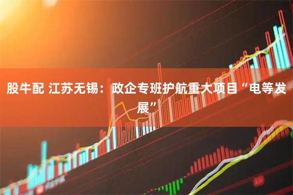 股牛配 江苏无锡：政企专班护航重大项目“电等发展”