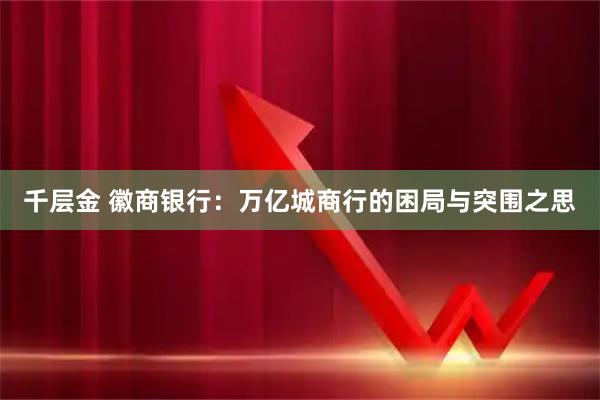 千层金 徽商银行：万亿城商行的困局与突围之思
