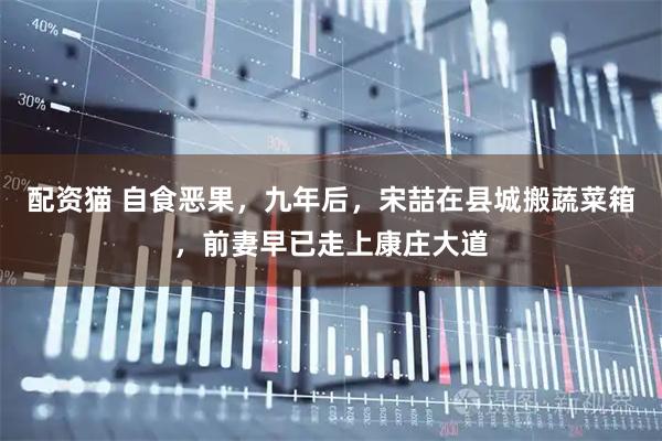 配资猫 自食恶果，九年后，宋喆在县城搬蔬菜箱，前妻早已走上康庄大道
